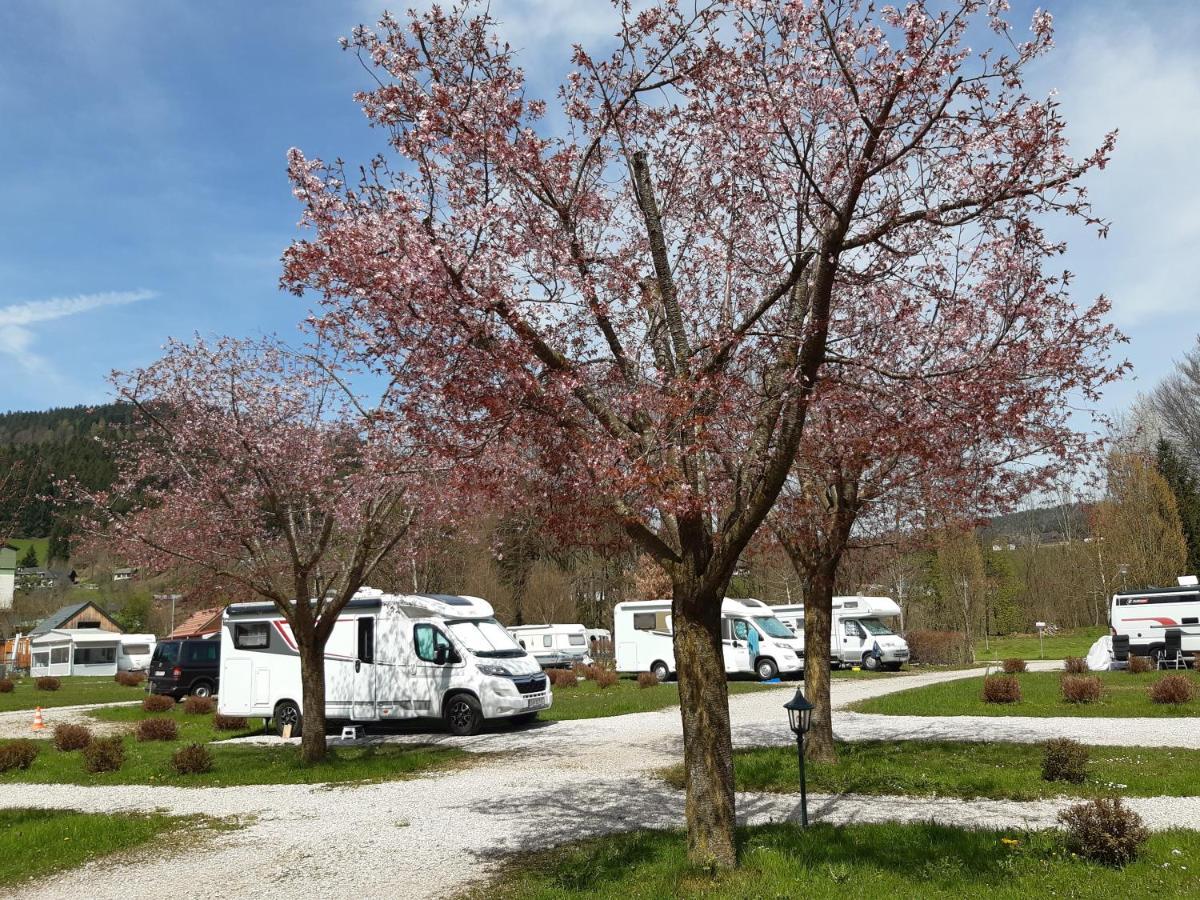 Campingfass Almtal Scharnstein Exterior photo